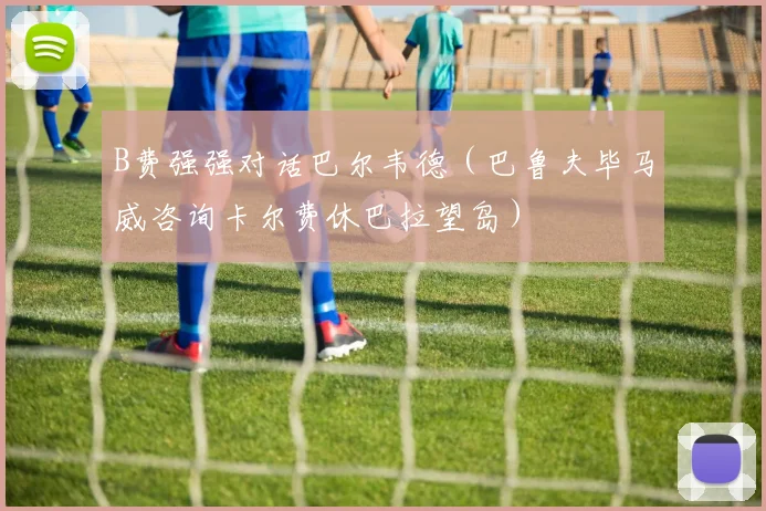 B费强强对话巴尔韦德（巴鲁夫毕马威咨询卡尔费休巴拉望岛）