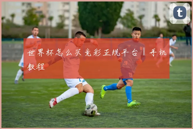 世界杯怎么买竞彩正规平台｜手机教程