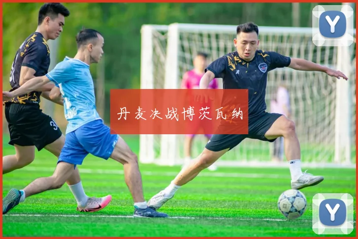丹麦决战博茨瓦纳